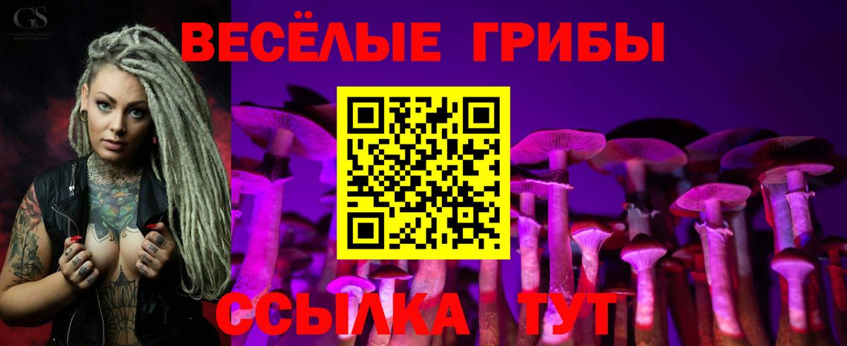 закладки  Галлюциногенные грибы мухоморы  Вход с VPN  Курчалой 