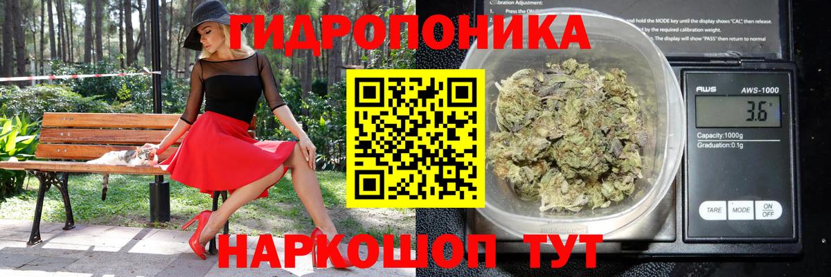 Канабис LSD WEED  Бошки марихуана MAZAR  Каннабис White Widow  Курчалой  Вход с VPN  Бошки Шишки сатива 